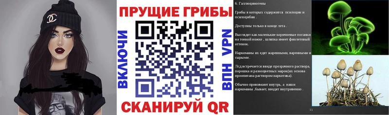 закладка  Челябинск  Галлюциногенные грибы GOLDEN TEACHER 